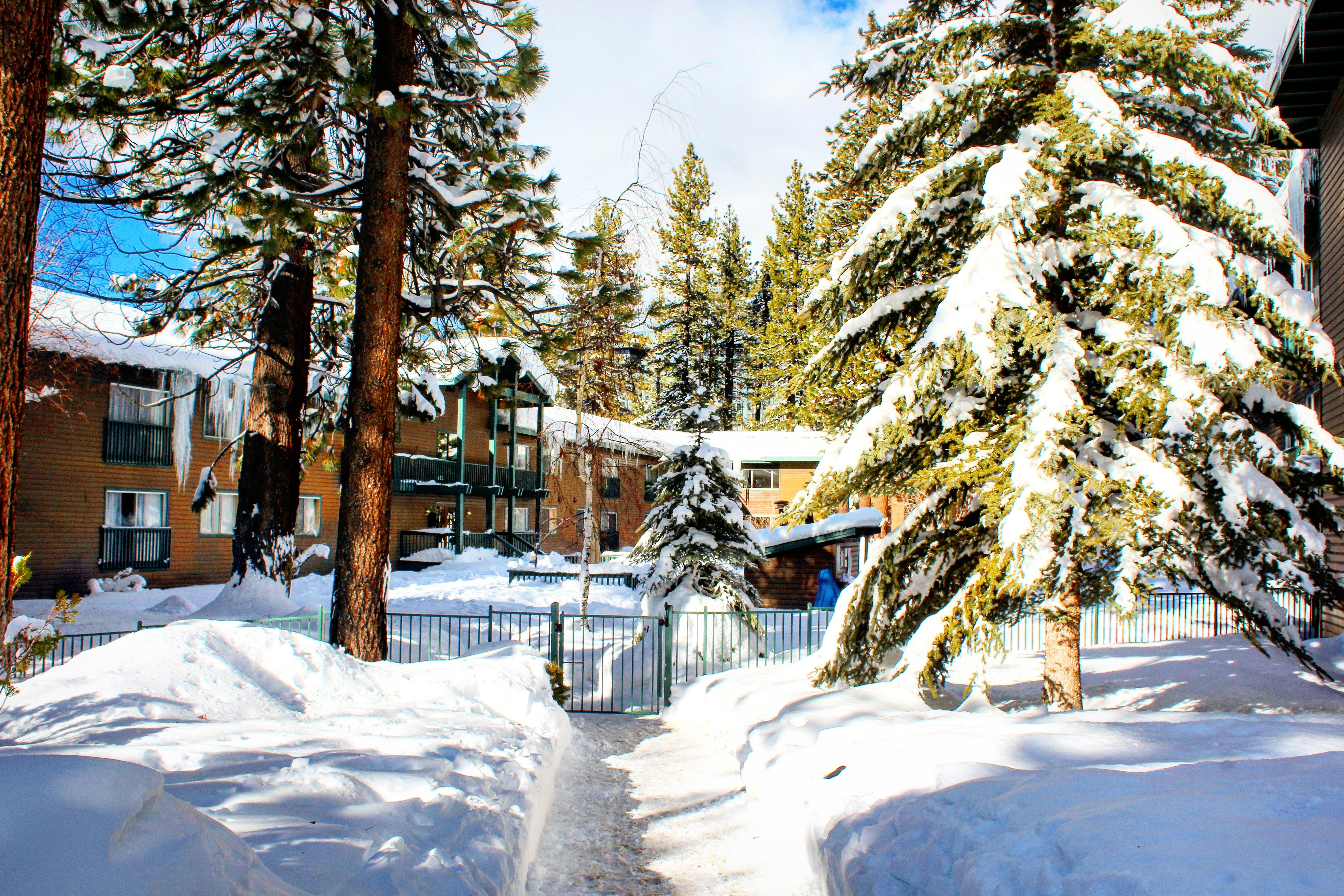 Forest Suites Resort At The Heavenly Village South Lake Tahoe Exterior foto
